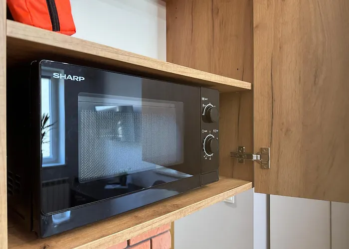 Ministudio Apartment Zbaszyn